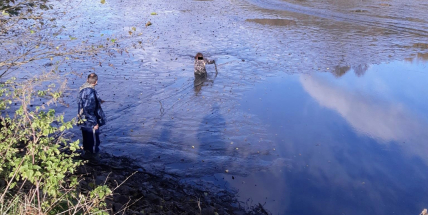 Muž uvízl po pás v bahně, z rybníka ho museli vytáhnout hasiči
