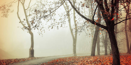 O víkendu se místy udrží mlhy po celý den