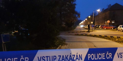 Na Berounsku našel kolemjdoucí mrtvého muže, příčinu smrti určí pitva