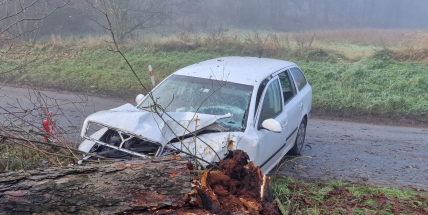 Řidička škodovky nezvládla jízdu a přerazila strom