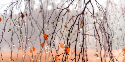 S příchodem meteorologické zimy se po pátečním ochlazení na víkend oteplí