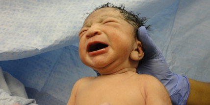 Obyvatel ČR díky stěhování za první tři čtvrtletí přibylo na 10,527 milionu