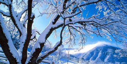 Jaké bude počasí do konce roku? Meteorologové zveřejnili dlouhodobou předpověď