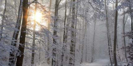 Na jihu Čech byl rekordně chladný 18. prosinec, bylo i minus 27,5 stupně