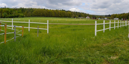 V Dobříši se uskuteční referendum o zástavbě v okolí města, potvrdil NSS