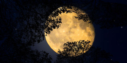 Příští rok spatří lidé na noční obloze přiblížení planet s Měsícem nebo letní superúplněk