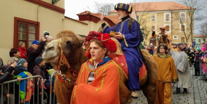 I letos do Příbrami přijedou Tři králové na živých velbloudech