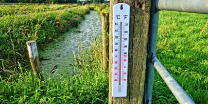 V Javorníku naměřili 19,6 stupně, dosud nejvyšší lednovou teplotu v ČR