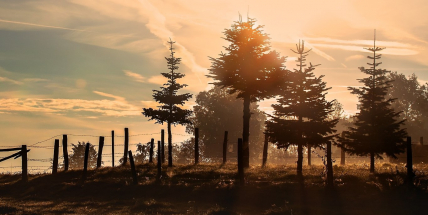 Na 16 stanicích bylo rekordně teplé lednové ráno, v Hejnicích 13,5°C