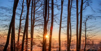 I v pondělí padaly teplotní rekordy