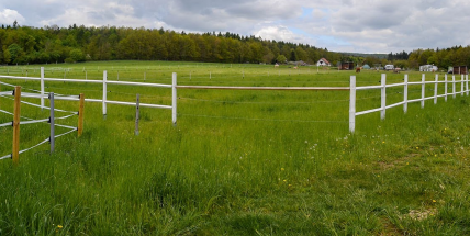Souběžně s prezidentskými volbami se koná v Dobříši místní referendum