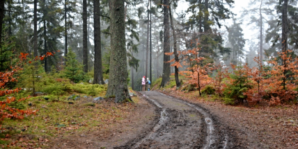 Odpolední teploty se dál udrží kolem 10 stupňů, mírně se ochladí v neděli