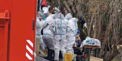 V obci Kožlí je ptačí chřipka, letos páté ohnisko nákazy v ČR