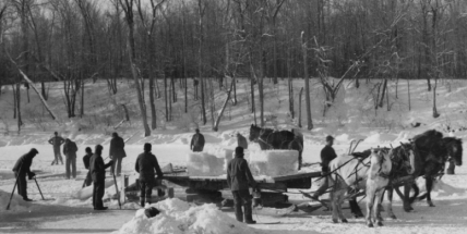 Vltava dávala obživu vorařům, převozníkům i rybářům. Na zamrzlé řece se v zimě odsekával led do sklepení místních hostinců