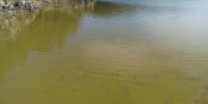 Kvalita vody na Orlíku se do konce sezony zřejmě nezlepší