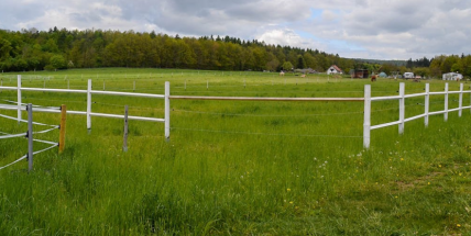 Lidé v Dobříši se v referendu vyslovili proti další zástavbě v okolí města