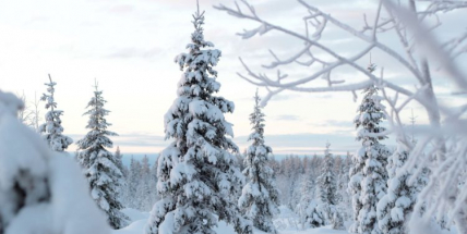 Jaké bude počasí do konce ledna a v první polovině února? Meteorologové zveřejnili dlouhodobou předpověď