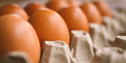 Nekula oslovil řetězce, aby vysvětlily vysoké ceny cukru a vajec