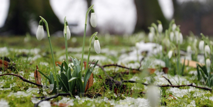 Jaké počasí bude do konce února a v první polovině března? Meteorologové zveřejnili dlouhodobou předpověď