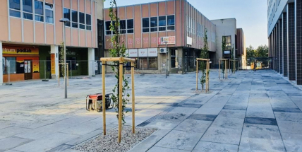 Rada města projedná výpověď Bedně, chce ji přestěhovat do jiných prostor