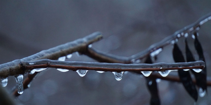 O víkendu bude pršet, v neděli se ochladí