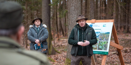 V Brdech začal projekt přeměny rozsáhlých ploch monokultur na pestré lesy