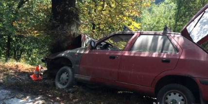 U Hluboše na Příbramsku zemřel řidič po nárazu do stromu (VIDEO)