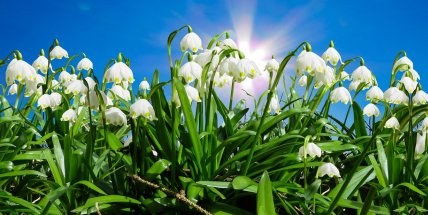 Dnes bylo i přes 16 stupňů, rekordy přepisovaly maxima z posledních let