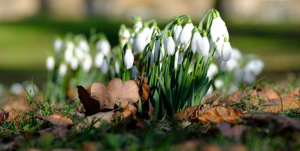 Jaké počasí bude do konce února a v první polovině března? Meteorologové zveřejnili dlouhodobou předpověď
