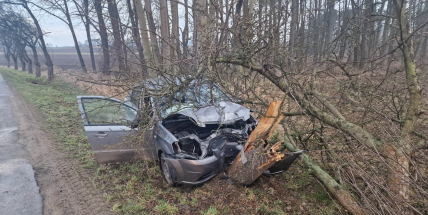 Auto u Dublovic přerazilo strom, řidička skončila v nemocnici