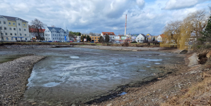 Příbram dá opravit a částečně odbahnit rybník Dolejší Obora