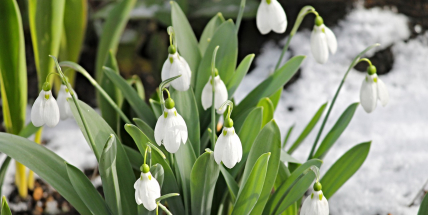 Jaké bude počasí v březnu? Meteorologové zveřejnili dlouhodobou předpověď