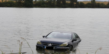 Auto skončilo v rybníce, řidič stihl vyplavat (VIDEO)