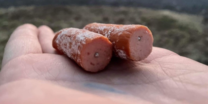 Policisté za pouhé čtyři dny dopadli ženu, která v Milíně umisťovala nebezpečné návnady pro psy