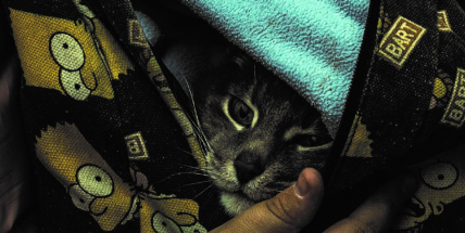 Svatá Hora vystavuje snímky z Kyjeva, přinášejí svědectví z 8. března 2022