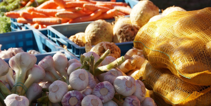 V Příbrami začíná sezona farmářských trhů