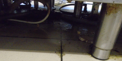 Hygienici zkontrolovali dobříšskou restauraci: V mrazáku prošlé maso a tlačenka, na podlaze mastnota a špína