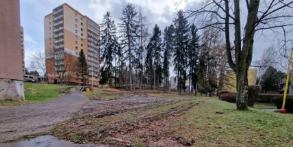 Na Čertově pahorku Příbram vysadí přes třicet vzrostlých stromů a šedesát keřů