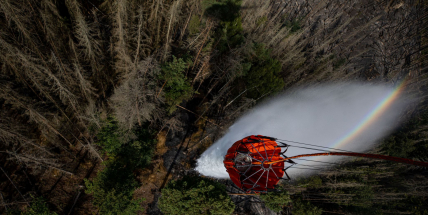 Příbramská galerie ukáže v projekci snímky ze soutěže Czech Press Photo 2022