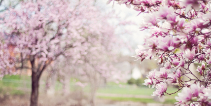 Na 15 procentech stanic padly teplotní rekordy