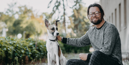 Film Gump - pes, který naučil lidi žít bude mít příští rok pokračování