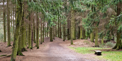 Příbram vybuduje nový akvapark v místě stávajícího Lesoparku Litavka