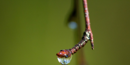 Víkend bude větrný a deštivý