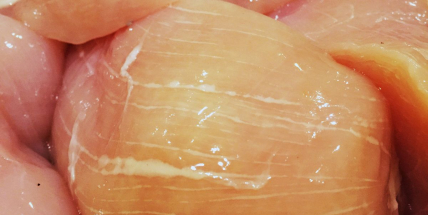 Obránci zvířat: Supermarkety ve Středočeském kraji prodávají maso z nemocných kuřat