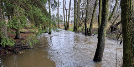 Po vydatných deštích v Lesoparku Litavka přetékají rybníky
