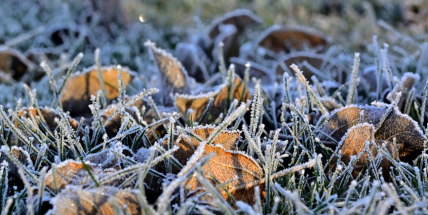 Česko v noci zasáhly mrazy, na Luční boudě bylo pod minus šest stupňů