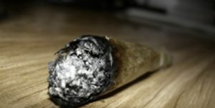 Pěstoval ve skleníku marihuanu, nyní mu hrozí půl roku vězení