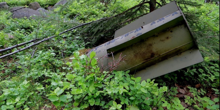 Vojenské lesy s armádou spustí další fázi pyrotechnické očisty Brd