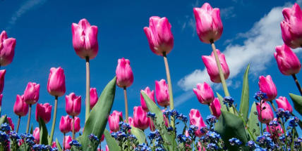 V týdnu se teploty budou pohybovat kolem 20 stupňů