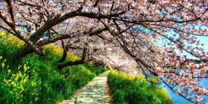 Duben byl bohatý na srážky a chladnější než obvykle